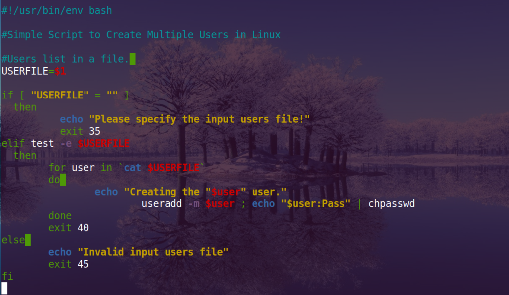 Create User Account using Bash Script