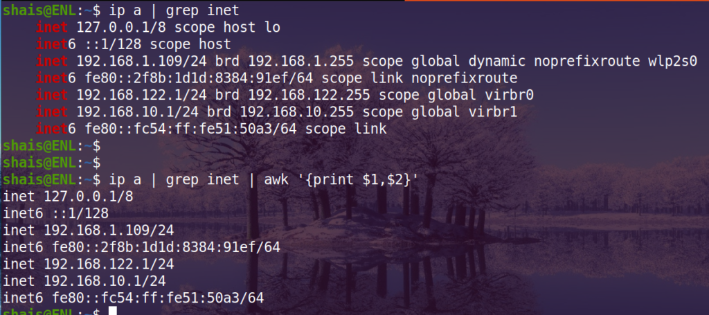 IP command Examples