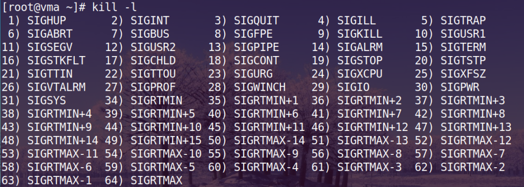 Kill Command Examples in Linux - Enlinux