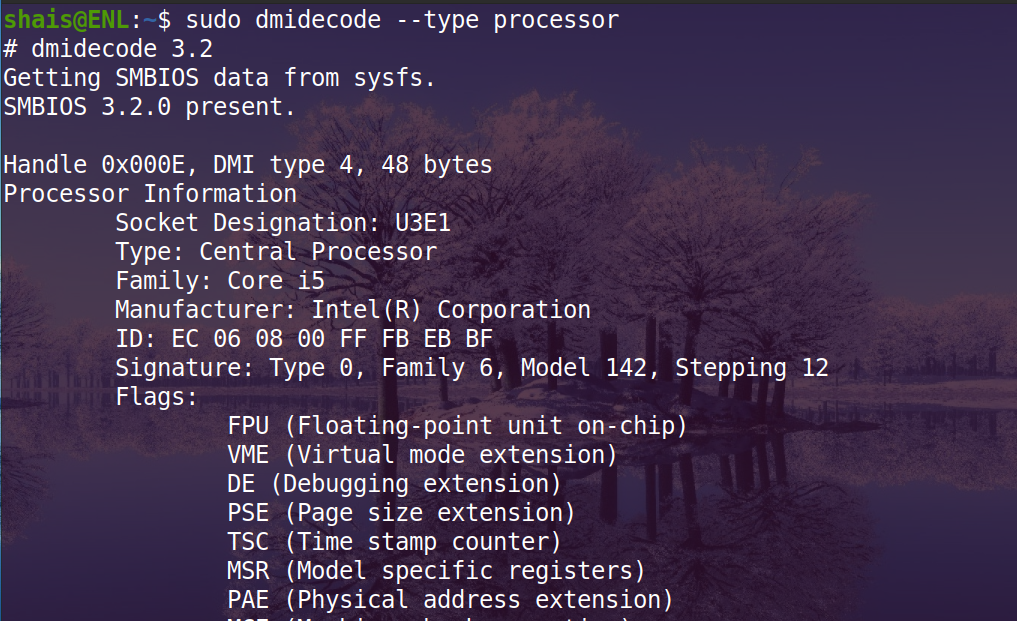 dmidecode Command Examples - Enlinux