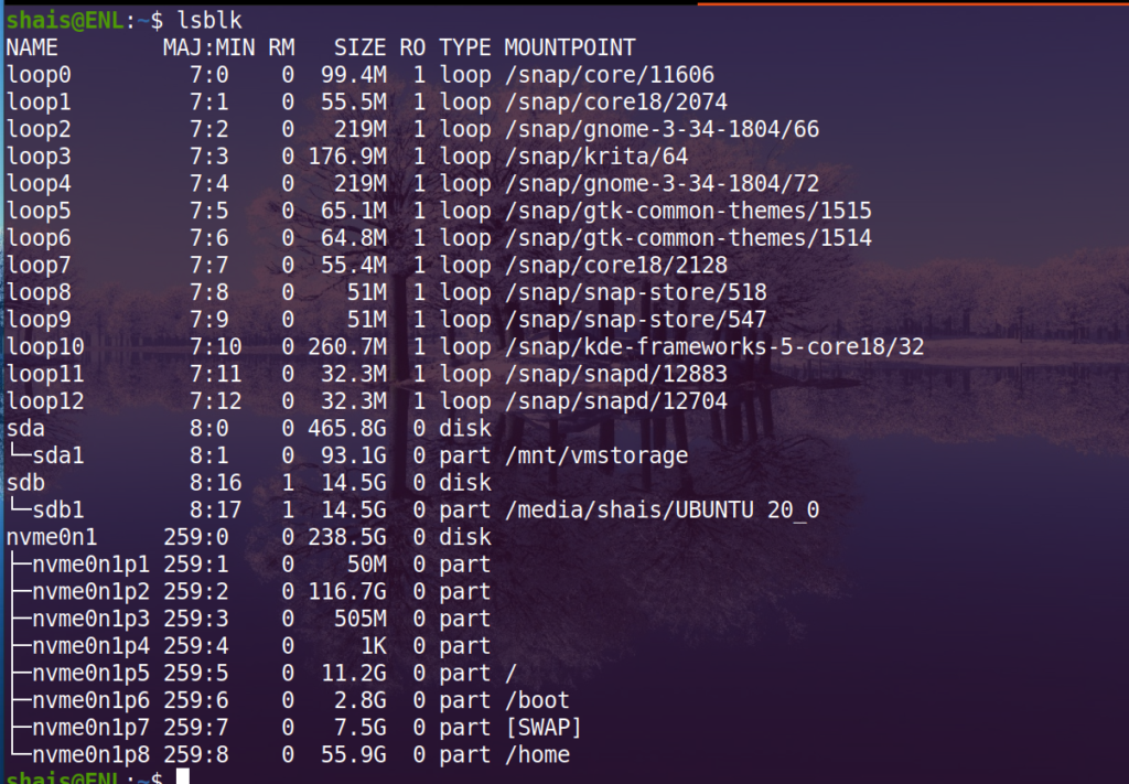 lsblk command examples and usages -Enlinux