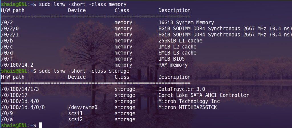 lshw Command Examples - Enlinux