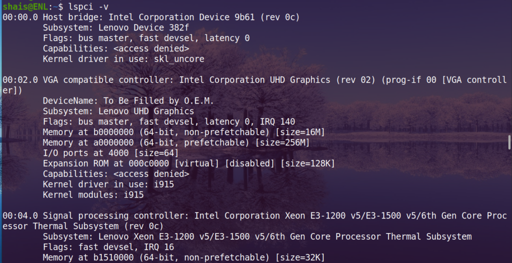 lspci Command examples - Enlinux