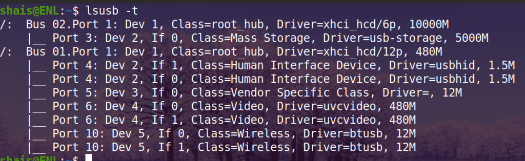 lsusb Command Examples - Enlinux