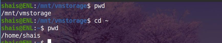 pwd Command Examples - Enlinux