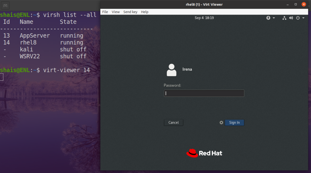 virt-viewer command Examples - Enlinux